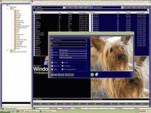 DiskShop 3.2 - náhled