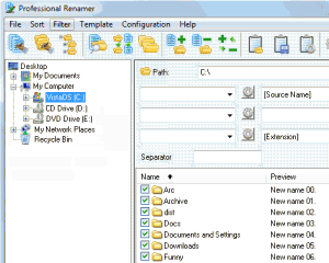 Professional Renamer 3.65 - náhled
