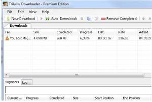 Trilulilu Downloader 8.5.4 - náhled
