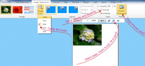 Batch PDF Watermark
