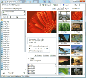 Ccy Image Viewer 2.2.1 - náhled