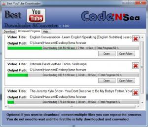 Fast Youtube Downloader 1.002 - náhled