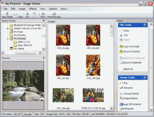 Image Viewer 9.0a - náhled