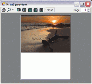 Image Viewer 9.0a - náhled