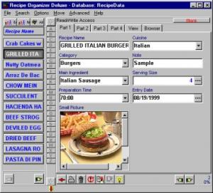 Prohlížení záznamů - náhled