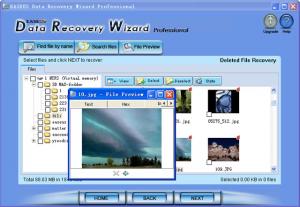 Data Recovery Wizard Professional 4.3.6 - náhled
