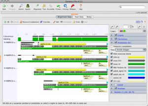 Geneious Pro 5.0.4 - náhled