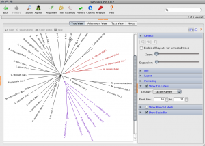 Geneious Pro 5.0.4 - náhled