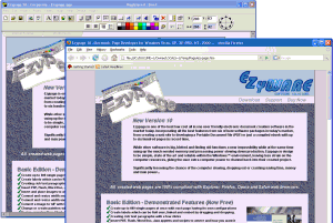 EzyPage Basic Edition 11 - náhled