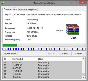 SD Download Manager 2.0.1.1 - náhled