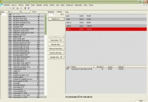 Náhled hlavní strany pokladny - náhled