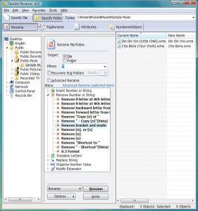 Flexible Renamer 8.4 - náhled