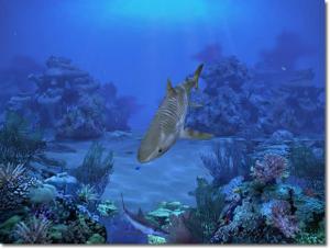 Sharks, Terrors of the Deep 2.0 - náhled