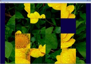 Puzzle Games Collection 2010.08.11 - náhled