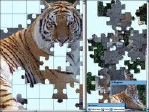 Puzzle Mania - náhled