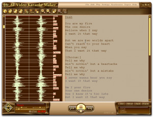 AV Video Karaoke Maker - náhled