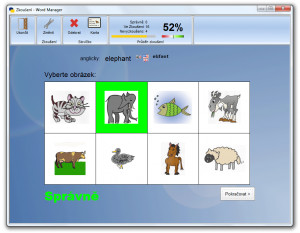 Word Manager - náhled