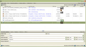 Panda Batch File Renamer - náhled