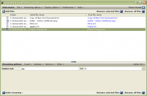 Panda Batch File Renamer - náhled