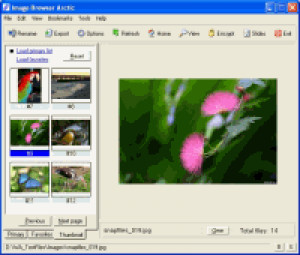 Image Browser Arctic - náhled