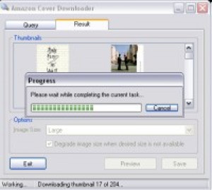 Amazon Cover Downloader - náhled