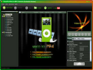 Clone2Go Video to MP4 Converter  - náhled