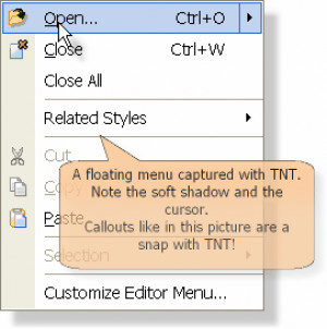 T.N.T Screen Capture - náhled