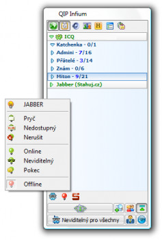 QIP Infium - náhled