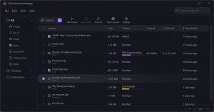 AB Download Manager - náhled