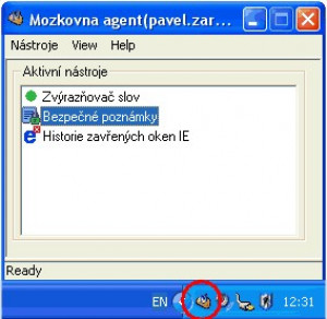 Mozkovna agent - náhled