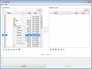 AnyClient - náhled