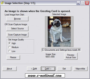 Electronic Greeting Cards - náhled