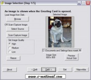 Electronic Greeting Cards - náhled