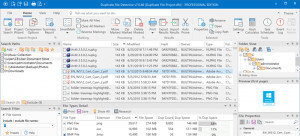 Duplicate File Detective - náhled