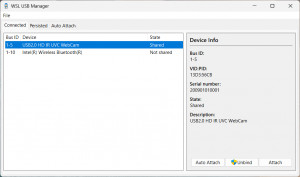 WSL USB Manager - náhled