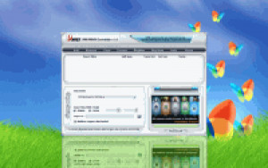 Apex RM RMVB Converter - náhled