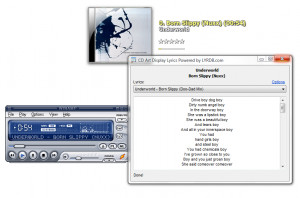 CD Art Display - náhled