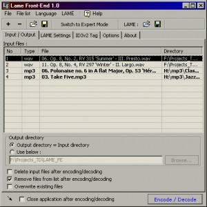 Lame Front-End - náhled
