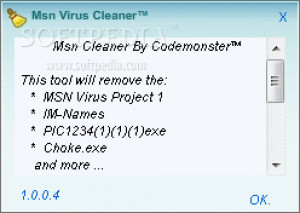 MSN Virus Cleaner - náhled