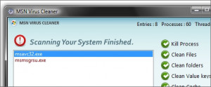 MSN Virus Cleaner - náhled