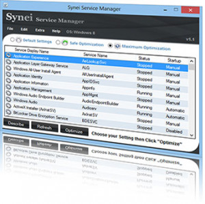 Synei Service Manager - náhled