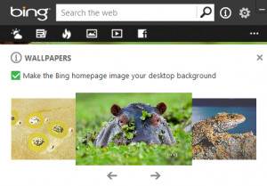 Bing Desktop - náhled