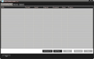 mini DownLoader - náhled