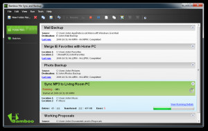 Bamboo File Sync and Backup - náhled