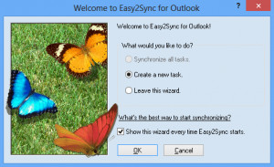 Easy2Sync for Outlook - náhled