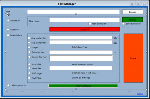 FastManager - náhled