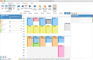Planner Studio Pro - náhled
