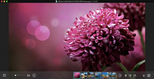 WidsMob Viewer - náhled