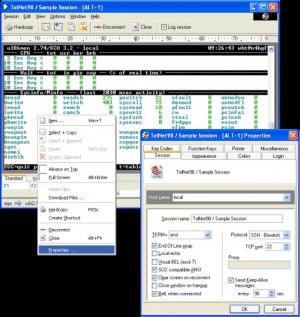 Erics Telnet98 - náhled