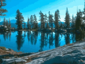 Peaceful Nature ScreenSaver - náhled